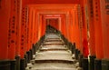 Red torii gates and lantern Royalty Free Stock Photo