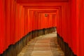 Red torii gates and lantern Royalty Free Stock Photo