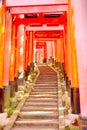 Red torii gates and stone steps at Fushimi Inari Shrine, Kyoto. Royalty Free Stock Photo