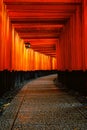The red torii gates walkway at fushimi inari taisha shrine in Kyoto, Japan. Royalty Free Stock Photo