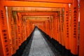 The red torii gates walkway path at fushimi inari taisha shrine the one of attraction landmarks for tourist in Kyoto Japan 11 14 Royalty Free Stock Photo