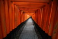 The red torii gates walkway path at fushimi inari taisha shrine the one of attraction landmarks for tourist in Kyoto Japan 11 14 Royalty Free Stock Photo