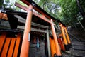 The red torii gates walkway path at fushimi inari taisha shrine the one of attraction landmarks for tourist in Kyoto Japan 11 14 Royalty Free Stock Photo