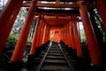 The red torii gates walkway path at fushimi inari taisha shrine the one of attraction landmarks for tourist in Kyoto Japan 11 14 Royalty Free Stock Photo