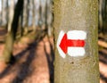 Red tourist or hiking trail signs symbols on tree tree Royalty Free Stock Photo