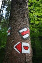 Red Tourist Sign on the Tree