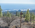Red tourist signpost at volcanic landscape and lush green pine tree forest at hiking trail to Paisaje Lunar volcanic