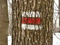 Red touristic mark on tree trunk rugger bark in snowy winter deciduous wood