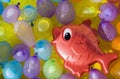 Red toy fish between colored ballons Royalty Free Stock Photo