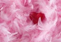 The Red Toy Heart Lies On The Surface With Pink Fluffy Feathers Natural Delicate