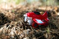 Red toy plane against, a background of foliage Royalty Free Stock Photo