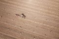 Top view of Red tractor baling hay, on the fields Royalty Free Stock Photo