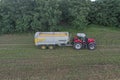 A red tractor harvests ripe golden wheat on a grain field harvested by harvesters. Agricultural work in summer.