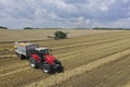 A red tractor harvests ripe golden wheat on a grain field harvested by harvesters. Agricultural work in summer. Royalty Free Stock Photo