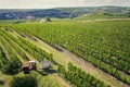 Red tractor ready for harvesting grapes in vineyard, sunny autumn day, Southern Moravia, Czech Republic