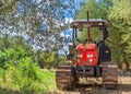 Red Tractor stands in the middle of a grove of olive trees. Royalty Free Stock Photo