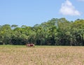 A red tractor on a sugar cane farm with rainforest backdrop