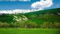 Red tractor is working in the First days of the Springtime on Eastern Anatolia, Turkey Royalty Free Stock Photo