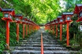 The red traditional light pole at Kifune shrine, Kyoto in Japan. Royalty Free Stock Photo