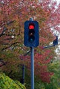 Red traffic light against the background of red, yellow and green autumn trees Royalty Free Stock Photo