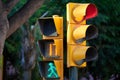 Red traffic light with indicator to walk to the pedestrian Royalty Free Stock Photo