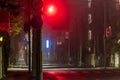 Red traffic light in mist over empty intersection and sidewalk at night Royalty Free Stock Photo