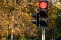 Red traffic light in semaphore closeup. Bright colored autumn background Royalty Free Stock Photo