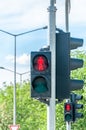 Red traffic light signal for pedestrians on the crosswalk in the city Royalty Free Stock Photo