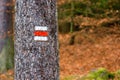 Red trail marking on tree in Czech Republic for tourist, hiker and trekker.