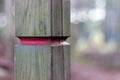 Red trail signpost next to path in Tyrebagger forest, Aberdeenshire Royalty Free Stock Photo