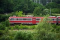 Red train vehicle in greenery Royalty Free Stock Photo