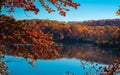 Red tree branch against an autumn lake.