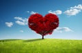 red tree of love heart shape in green field over blue sky Royalty Free Stock Photo