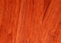 Red tree paduk. Material for the manufacture of furniture and interior design