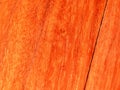 Red tree paduk. Material for the manufacture of furniture and interior design