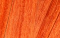 Red tree paduk. Material for the manufacture of furniture and interior design