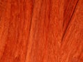 Red tree paduk. Material for the manufacture of furniture and interior design