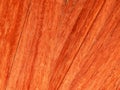 Red tree paduk. Material for the manufacture of furniture and interior design