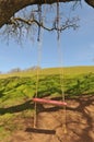 Red tree swing hangs from a large oak branch