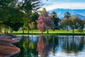 Marriott grounds Pal Desert California Royalty Free Stock Photo