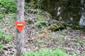 Red triangle mine warning sign in the forest Royalty Free Stock Photo
