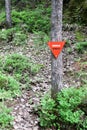 Red triangle mine warning sign in the forest Royalty Free Stock Photo