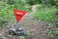 Red triangle mine warning sign in the forest Royalty Free Stock Photo