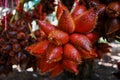 Red tropical fruit Sala Royalty Free Stock Photo