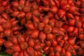 Red tropical fruit Salacca. Royalty Free Stock Photo