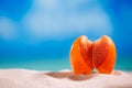 Red tropical shell on white beach sand under sun light