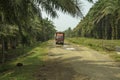 Red truck loaded with sawit palms riding gravel road seen in palm oil plantation in Bengkulu, Sumatra, Indonesia