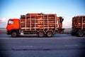 A red truck with logs transports round timber along the highway in the evening. Logging business, import and export of