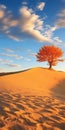 Colorful Neo-romanticism: Autumn Dune With Orange Tree