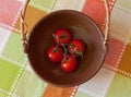 Red Truss Tomatoes In A Rustic Bowl On A Colorful Checked Tablecloth